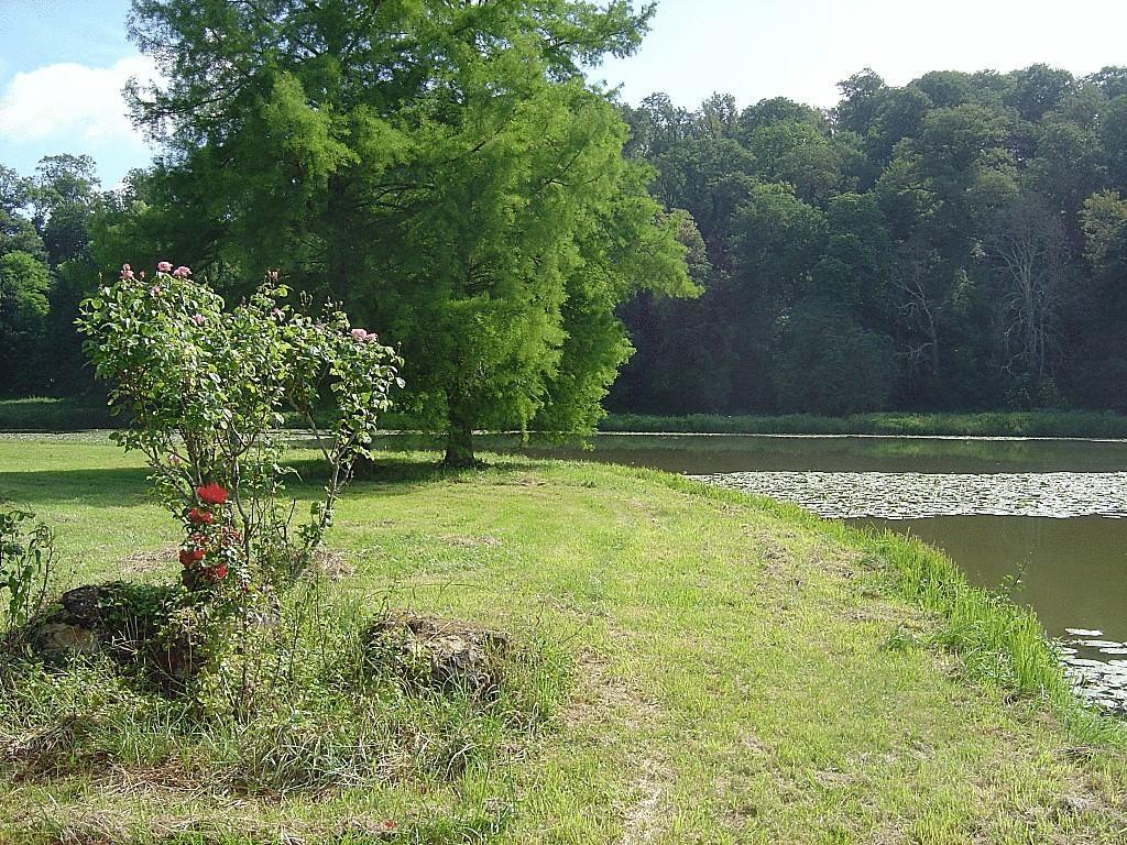 مبيت وإفطار Tuffé Chateau De Cheronne المظهر الخارجي الصورة