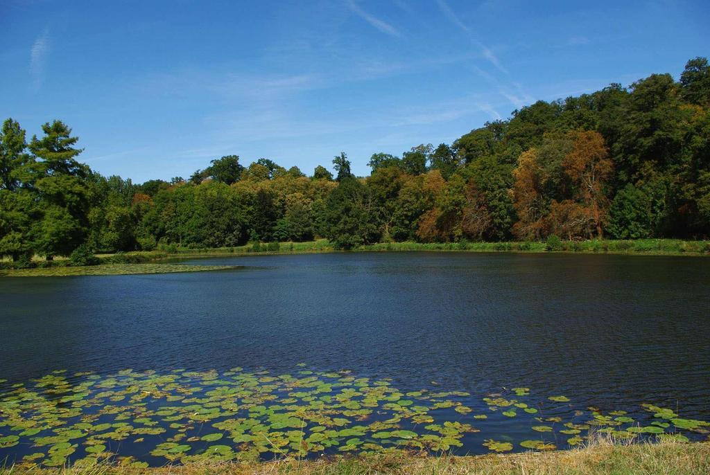 مبيت وإفطار Tuffé Chateau De Cheronne المظهر الخارجي الصورة