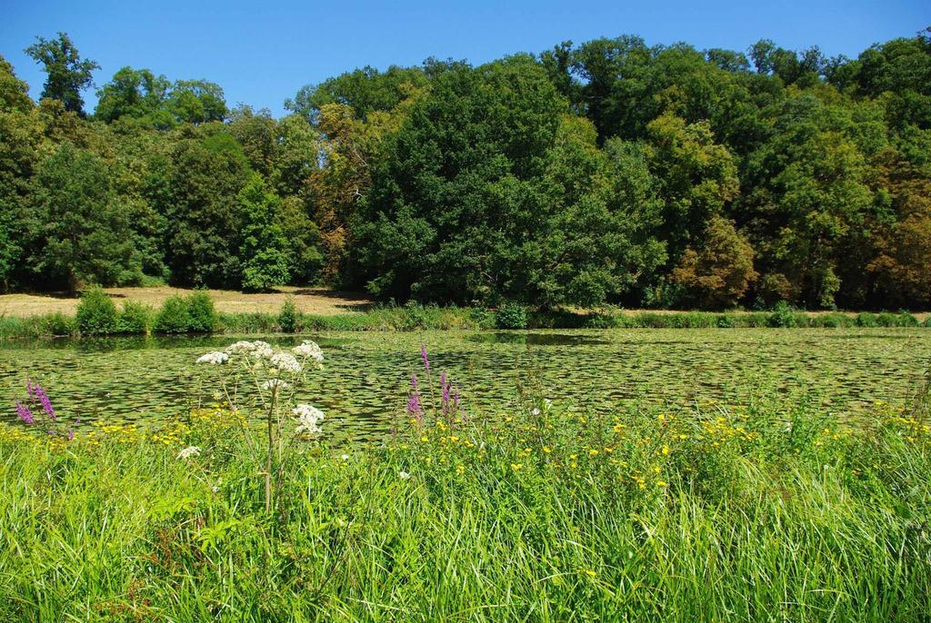 مبيت وإفطار Tuffé Chateau De Cheronne المظهر الخارجي الصورة